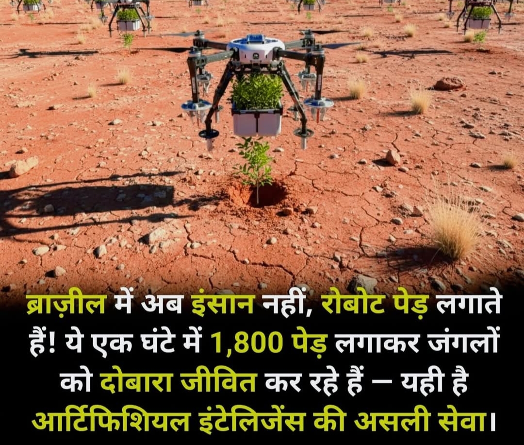 ब्राज़ील में अब इंसान नहीं, रोबोट लगा रहे हैं पेड़: AI का असली उपयोग